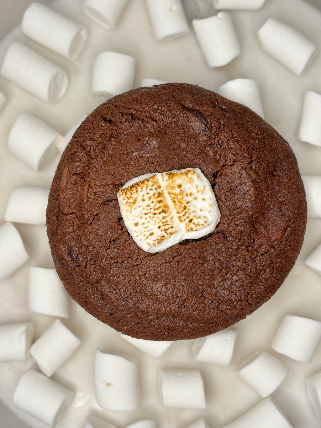 Chocolate cookies