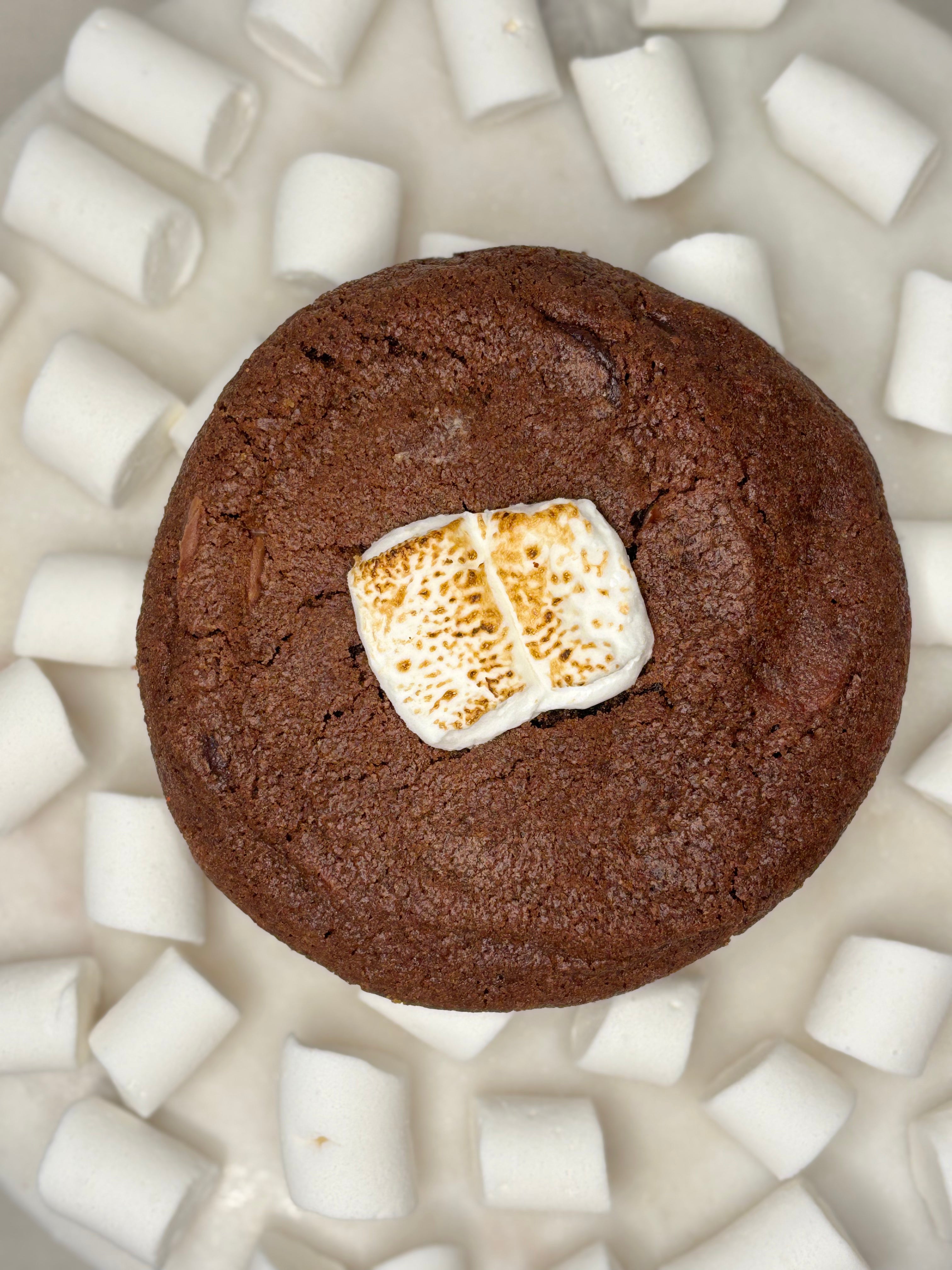 Chocolate cookies
